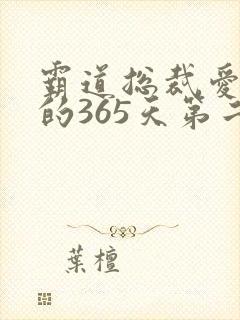 霸道总裁爱上我的365天第二季免费观看