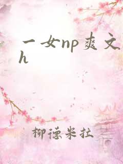 一女np爽文高h