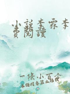 小说李霖李澜免费阅读