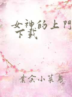 女神的上门贵婿 下载