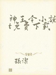 神王令小说txt免费下载