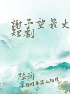 谢予望最火十部短剧