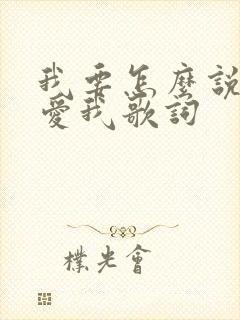 我要怎么说你才爱我歌词