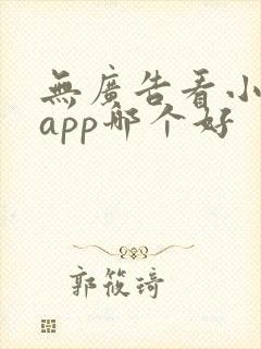 无广告看小说的app哪个好