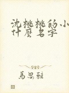 沈桃桃的小说叫什么名字