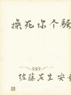 操死你个骚母狗