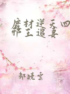 废材逆天四小姐邪王追妻
