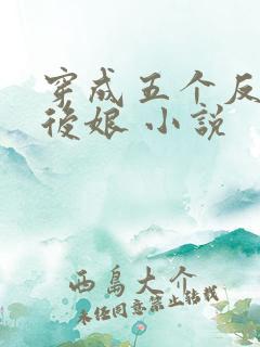 穿成五个反派的后娘 小说