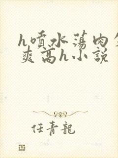 h喷水荡肉失禁爽高h小说