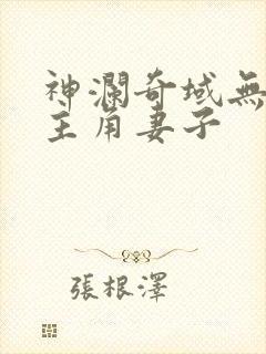 神澜奇域无双珠主角妻子