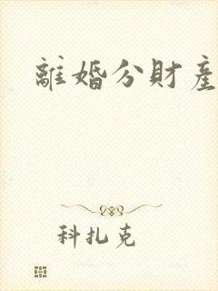 离婚分财产律师