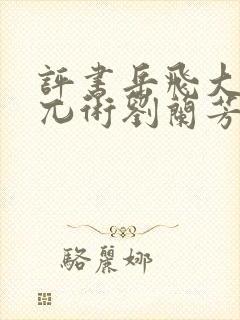 评书岳飞大战金兀术刘兰芳