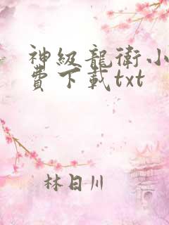 神级龙卫小说免费下载txt