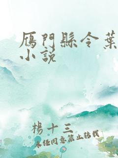 雁门县令叶青的小说