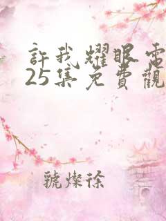 许我耀眼电视剧25集免费观看下载