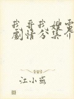 我哥我嫂电视剧剧情分集介绍