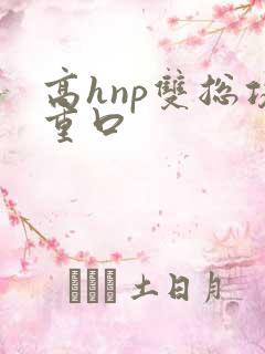 高hnp双总攻重口