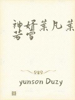 神婿叶凡叶凡唐若雪