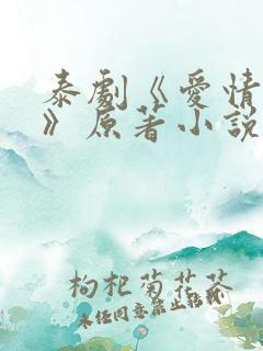 泰剧《爱情毒药》原著小说