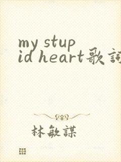 my stupid heart歌词中文翻译