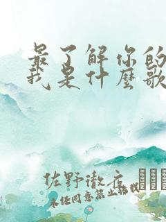 最了解你的人是我是什么歌名