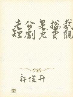 老公是总裁大人短剧免费观看