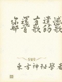 你还有遗憾吗是哪首歌的歌词