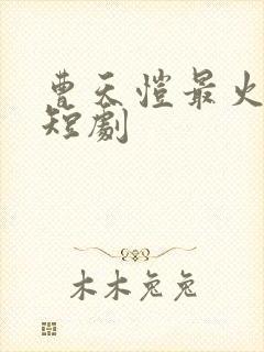 曹天恺最火十部短剧