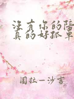 没有你的陪伴我真的好孤单下一句