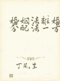 婚姻法离婚财产分配法一方出轨