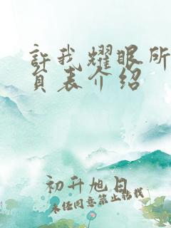 许我耀眼所有演员表介绍