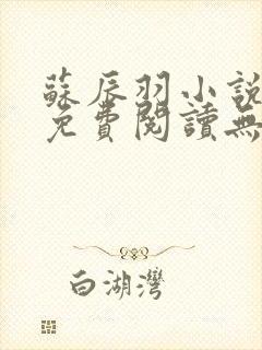 苏辰羽小说全文免费阅读无弹窗最新章节