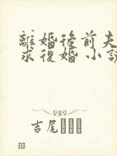 离婚后前夫哭着求复婚 小说阅读