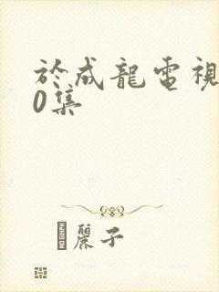 于成龙电视剧40集