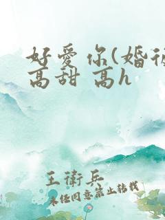 好爱你(婚后 高甜 高h