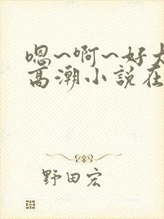 嗯~啊~好大~高潮小说在线阅读