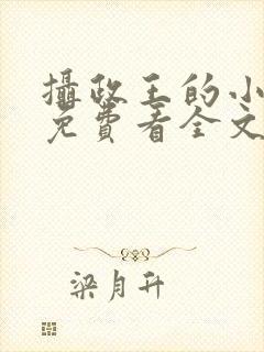 摄政王的小闲妻免费看全文