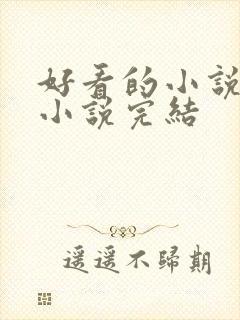 好看的小说言情小说完结