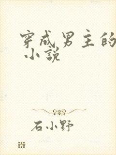 穿成男主的后妈 小说