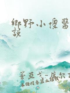 乡野小傻医 小说