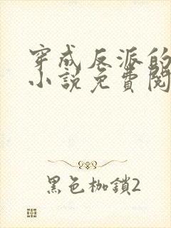 穿成反派的老婆小说免费阅读