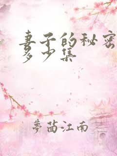 妻子的秘密一共多少集