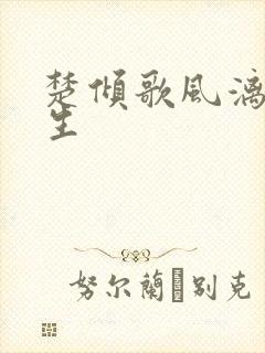 楚倾歌风漓夜重生
