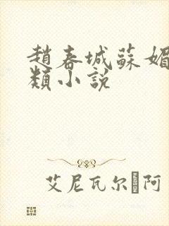 赵春城苏媚免费类小说