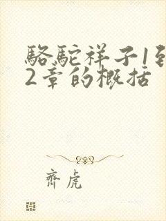 骆驼祥子1到12章的概括