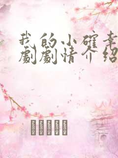 我的小确幸电视剧剧情介绍