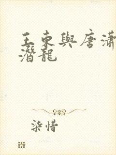 王东与唐潇傲世潜龙