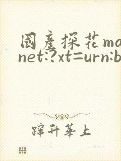 国产探花magnet:?xt=urn:btih: