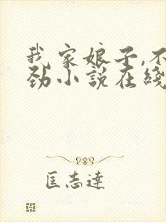 我家娘子,不对劲小说在线免费阅读