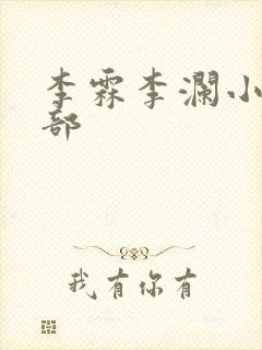 李霖李澜小说全部